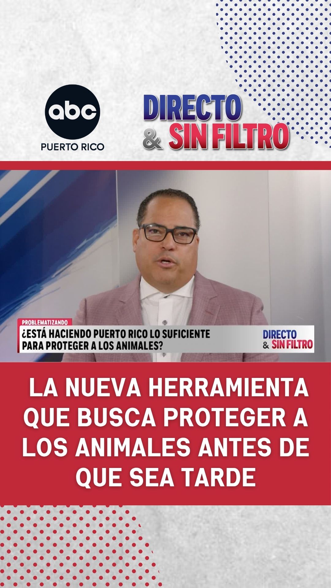 ¿Ves que un vecino maltrata un animal? Esto es lo que podrías hacer con la nueva medida