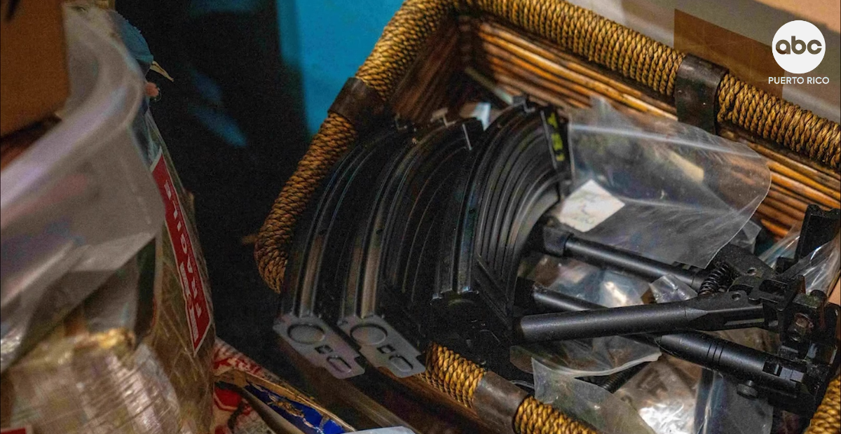 Confiscan más de 439 armas en la casa de un exdiputado en Canadá