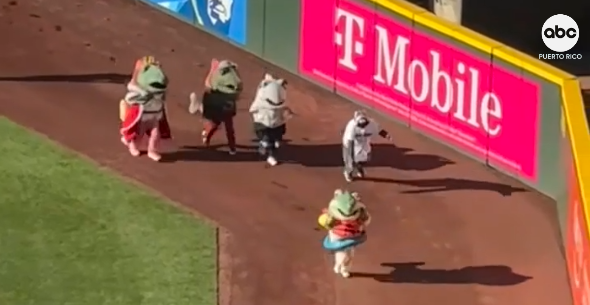 Jimothy, el mapache viral, debuta como mascota en un juego de la MLB