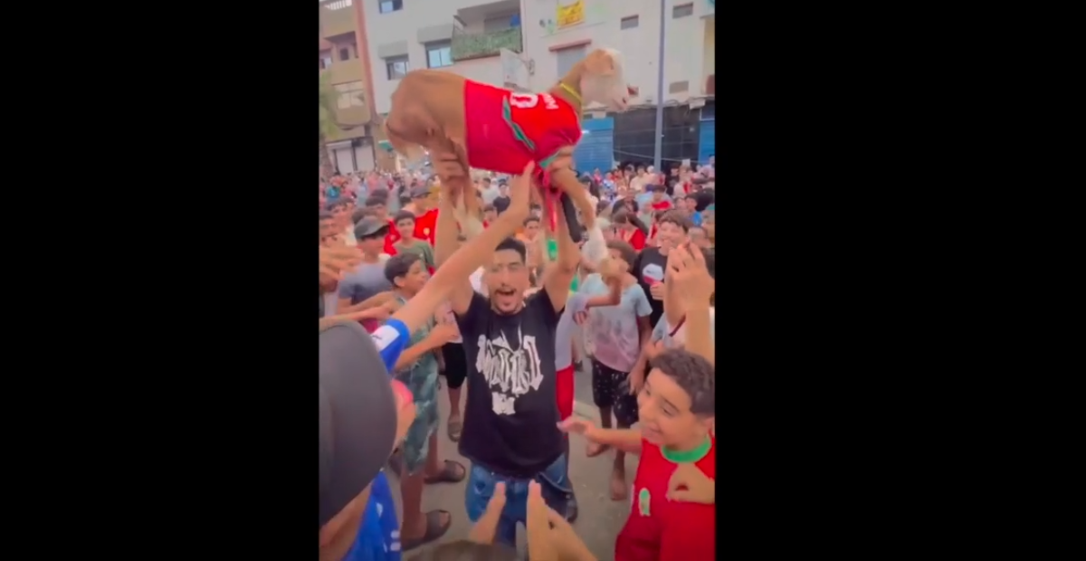 Una cabra se roba el protagonismo en la celebración de Marruecos tras vencer a Canadá