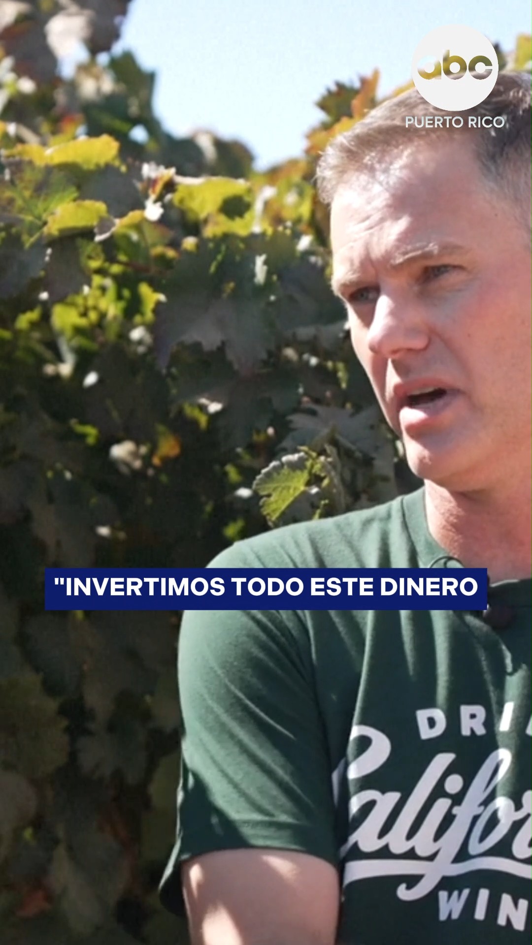 Cultivaron uvas durante décadas… ahora las arrancan porque nadie quiere comprarlas